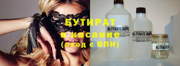 шишки Дмитровск