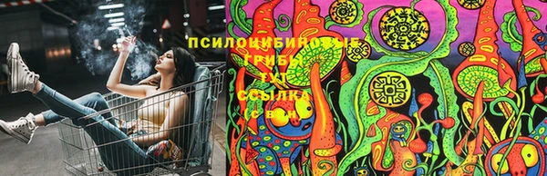jwh Дмитриев