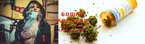 винт Дмитров