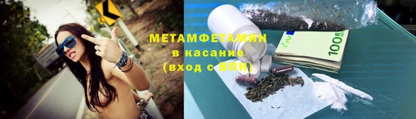 шишки Дмитровск