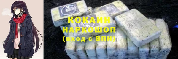 шишки Дмитровск
