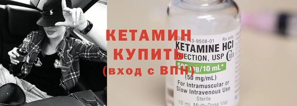 шишки Дмитровск