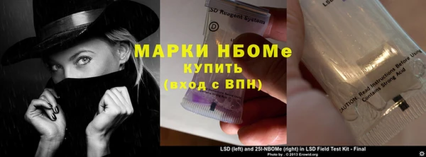 шишки Дмитровск