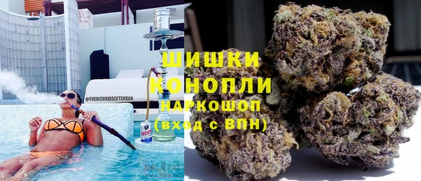 винт Дмитров