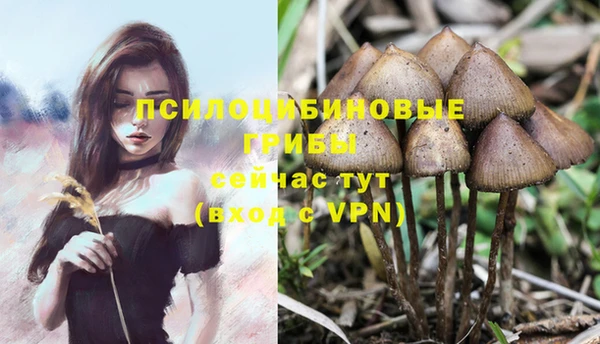 jwh Дмитриев