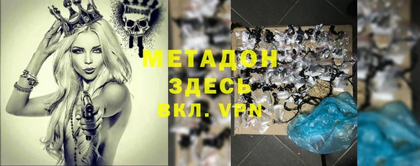 шишки Дмитровск