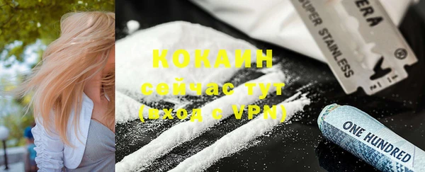 шишки Дмитровск
