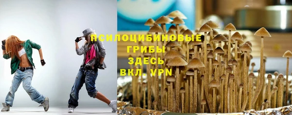 винт Дмитров