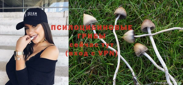 mdma Снежногорск
