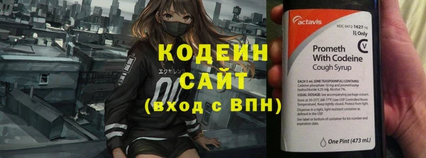 шишки Дмитровск